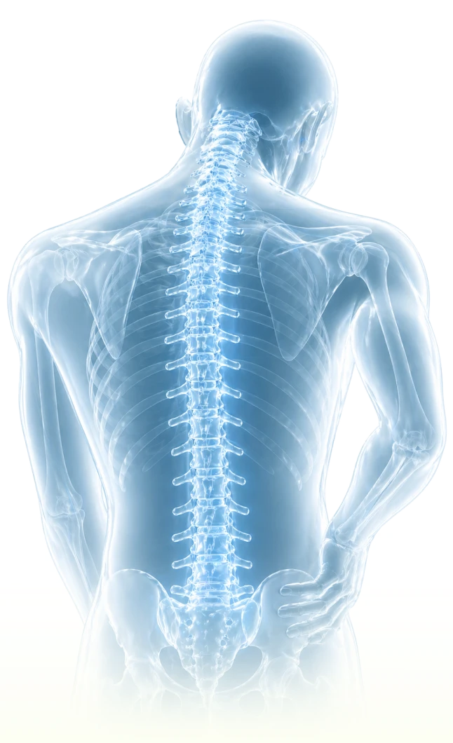 Spine conditions
